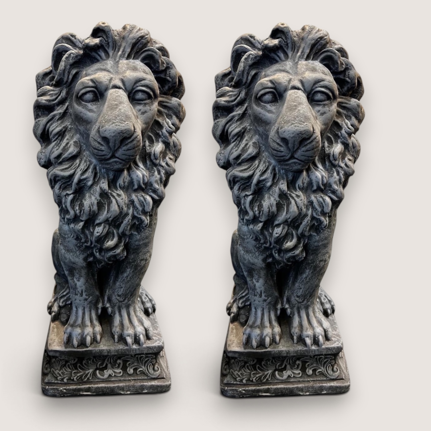 Big Lion Pair