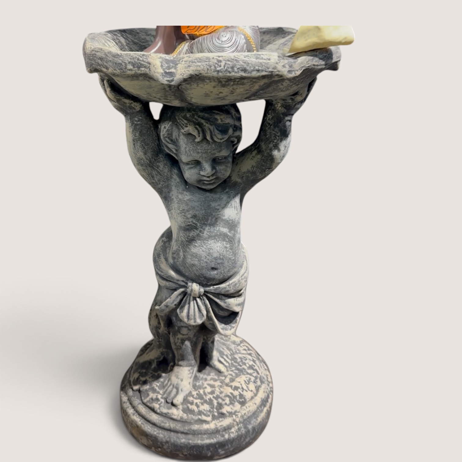 Bird Bath