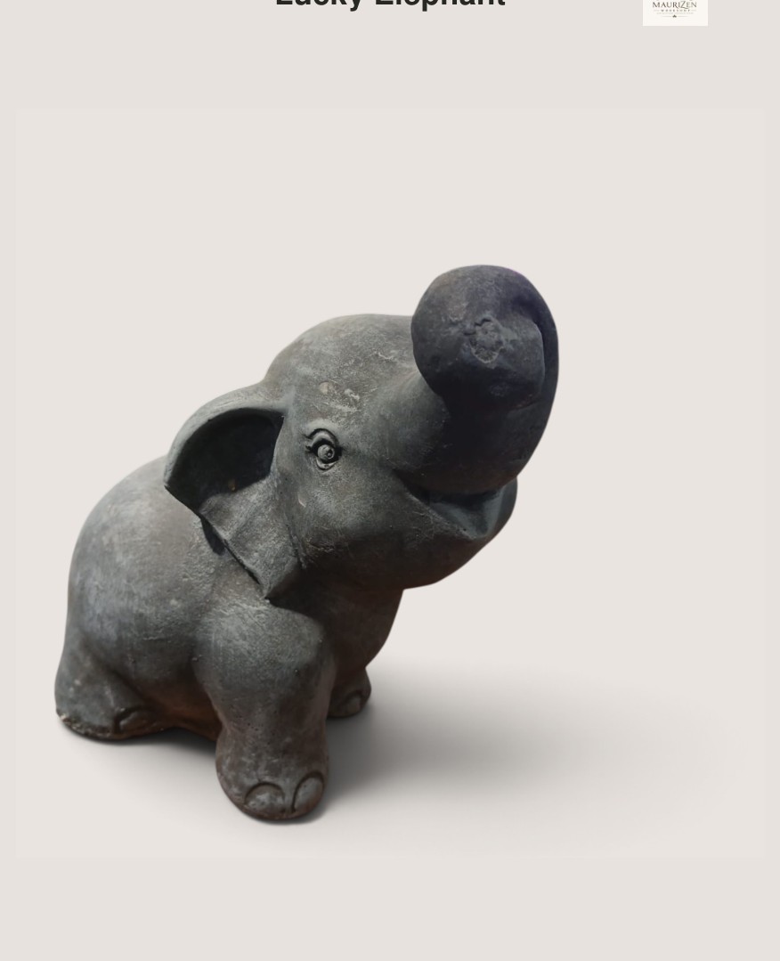 Lucky Elephant