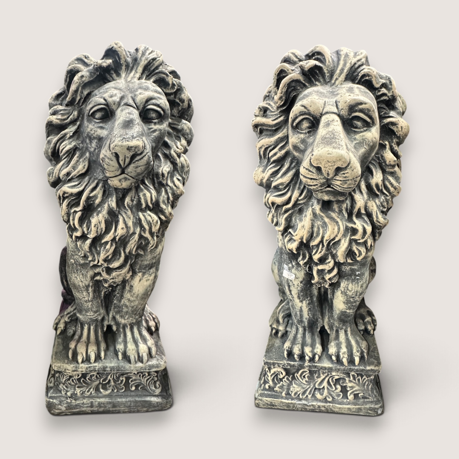 Medium Lion Pair