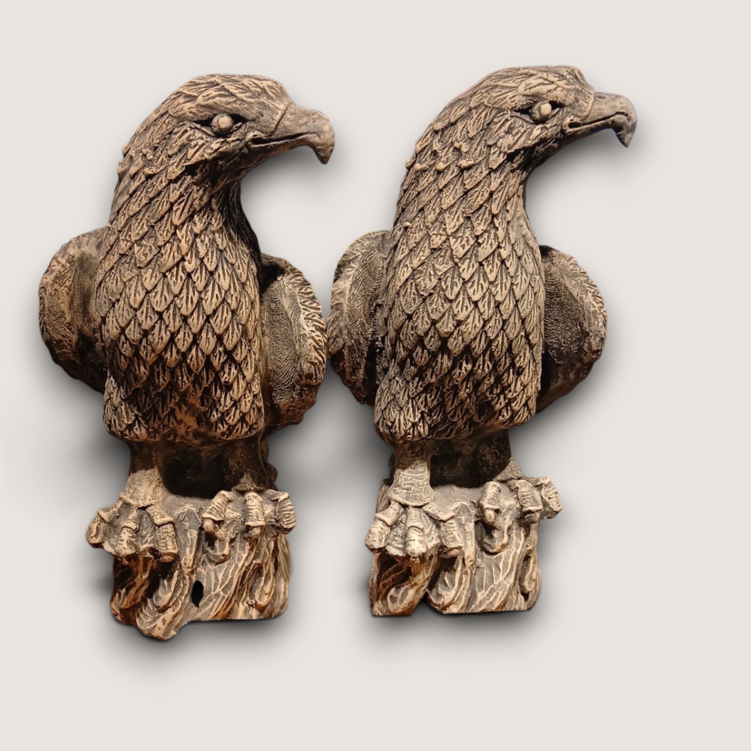 Pair Eagle